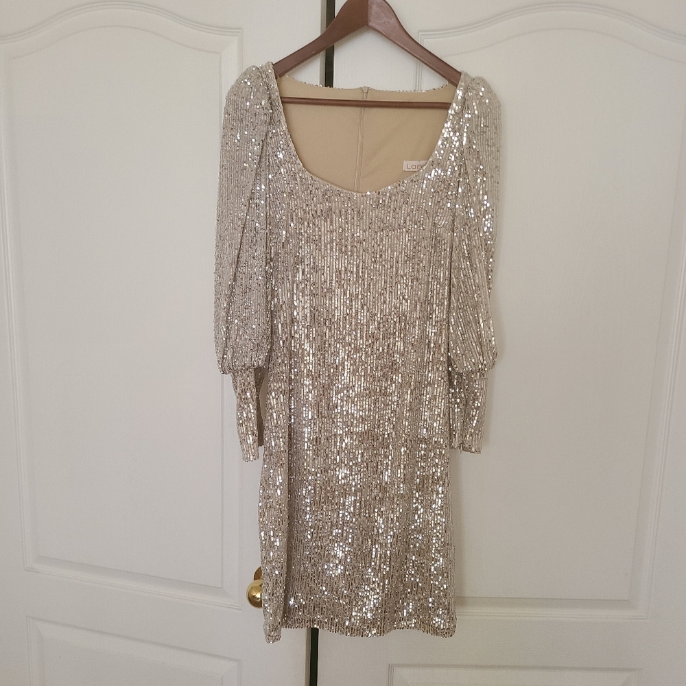 NYE Dress Beautiful Shiney  dress